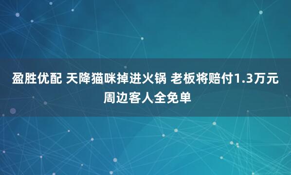 盈胜优配 天降猫咪掉进火锅 老板将赔付1.3万元 周边客人全免单