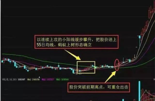 赤盈配资 A股市场：但凡股票出现“蚂蚁上树”走势，意味着主力已成功筑底，后市股价将直线拉升