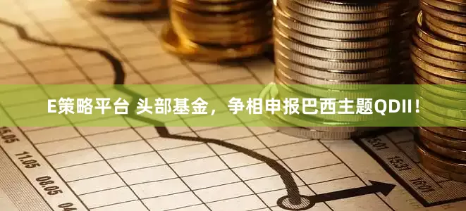E策略平台 头部基金，争相申报巴西主题QDII！